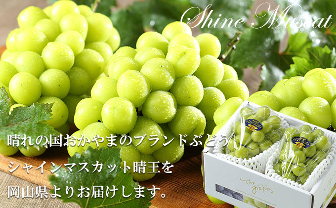ぶどう 2026年 先行予約 シャイン マスカット 晴王 約500g×2房 8月下旬～11月下旬発送 ブドウ 葡萄  岡山県産 国産 フルーツ 果物 ギフト 岡山の葡萄 デザート 食後 