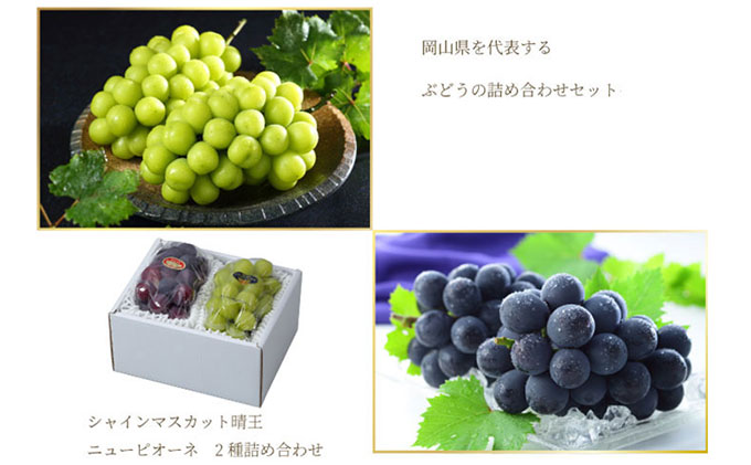 ã¶ã©ã 2026幎 å
è¡äºçŽ ãã¥ãŒ ããªãŒã 1æ¿ çŽ400g ã·ã£ã€ã³ ãã¹ã«ãã æŽç 1æ¿ çŽ400g è©°ãåãã 8æäžæ¬ïœ9æäžæ¬çºé 岡山çç£ åœç£ ãã«ãŒã æç© ã®ãã 岡山ã®è¡è é£ã¹æ¯ã¹