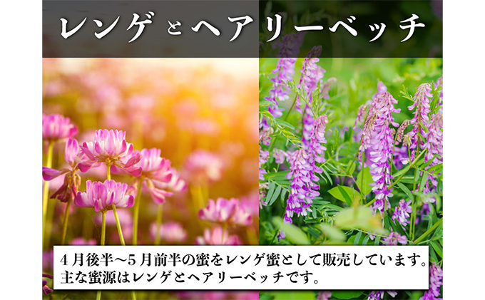 レンゲ 非加熱 はちみつ 2本セット（1本180g）岡山県 瀬戸内市産 石黒農園 ヨーグルト パン 砂糖の代わり レンゲハチミツ 生ハチミツ 非加熱のはちみつ 