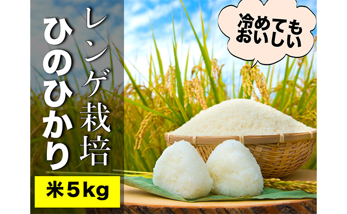 グルテンフリーを実践している農家が作った 米粉 2kg と 米「ひのひかり」5kg のセット 岡山県 瀬戸内市産 石黒農園 ご飯 銘柄米 炭水化物 白米 ライス 主食 和食 おにぎり お弁当 産地直送 製菓向き 瀬戸内市産米の米粉 