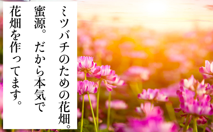 ç¬æžå
åžã®ãããã ãç±³ ãã²ã®ã²ããã 10kgïŒ5kgÃ2è¢ïŒå²¡å±±ç ç¬æžå
åžç£ ç³é»èŸ²å ã飯 éæç±³ çæ°Žåç© çœç±³ ã©ã€ã¹ äž»é£ åé£ ãã«ãã ãåŒåœ ç£å°çŽé