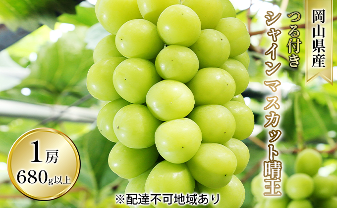 ぶどう 2026年 先行予約 つる付き シャイン マスカット 晴王 1房 680g以上（ハウス栽培） ブドウ 葡萄  岡山県産 国産 フルーツ 果物 ギフト 岡山の葡萄