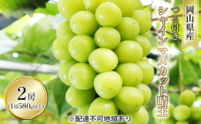 ぶどう 2026年 先行予約 つる付き シャイン マスカット 晴王 2房入り（1房 580g以上 ハウス栽培） ブドウ 葡萄  岡山県産 国産 フルーツ 果物 ギフト 岡山の葡萄