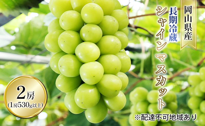 ぶどう 2025年 先行予約 長期冷蔵 シャイン マスカット 2房入り（1房 530g以上） ブドウ 葡萄  岡山県産 国産 フルーツ 果物 ギフト 岡山の葡萄