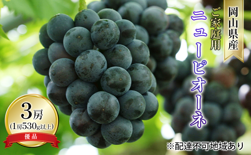 ぶどう 2026年 先行予約 ご家庭用 ニュー ピオーネ 優品 3房入り（1房 530g以上 露地栽培） ブドウ 葡萄  岡山県産 国産 フルーツ 果物 岡山の葡萄