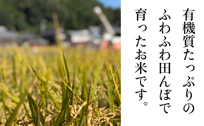 ç¬æžå
åžã®ãããã ãç±³ ãã²ã®ã²ããã 10kgïŒ5kgÃ2è¢ïŒå²¡å±±ç ç¬æžå
åžç£ ç³é»èŸ²å ã飯 éæç±³ çæ°Žåç© çœç±³ ã©ã€ã¹ äž»é£ åé£ ãã«ãã ãåŒåœ ç£å°çŽé