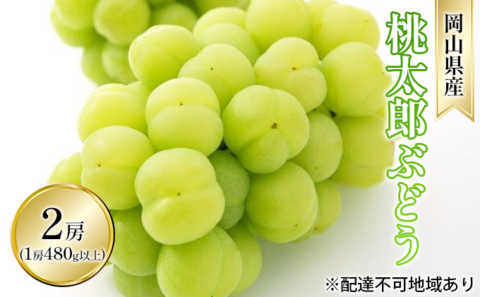 ぶどう 2026年 先行予約 桃太郎 ぶどう 2房（1房 480g以上 ハウス栽培）贈答用 ブドウ 葡萄  岡山県産 国産 フルーツ 果物 ギフト 岡山の葡萄