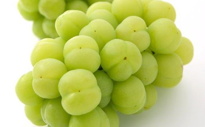 ã¶ã©ã 2026幎 å
è¡äºçŽ æ¡å€ªé ã¶ã©ã 2æ¿ïŒ1æ¿ 480gä»¥äž é²å°æ œå¹ïŒèŽççš ãã㊠è¡è 岡山çç£ åœç£ ãã«ãŒã æç© ã®ãã 岡山ã®è¡è