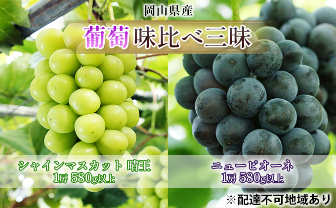 ぶどう 2026年 先行予約 葡萄 味比べ三昧 シャイン マスカット 晴王 1房 580g以上 ニュー ピオーネ 1房 580g以上（露地栽培）詰合せ ブドウ 葡萄  岡山県産 国産 フルーツ 果物 ギフト 2品種