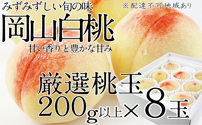 桃 2026年 先行予約 岡山の白桃 200g以上×8玉 白桃 旬 みずみずしい 晴れの国 おかやま 岡山県産 フルーツ王国 果物王国 デザート 岡山の桃 旬の桃