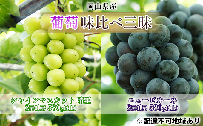 ぶどう 2026年 先行予約 味比べ三昧 シャイン マスカット 晴王 2房 ニュー ピオーネ 2房 （各1房 580g以上） 詰合せ 果物 フルーツ 2品種 