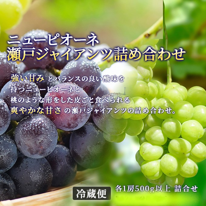 フルーツ 定期便 2026年 先行予約 フルーツ王国 岡山の果物 5回コース 夏～冬物語  桃 もも 葡萄 ぶどう 梨 なし岡山県産 国産 果物 セット ギフト ニューピオーネ シャインマスカット あたご梨 