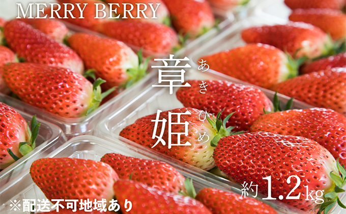 メリーベリー 章姫 いちご 約1.2kg（約300g×4パック）【配達不可：北海道・東北・新潟・沖縄・離島】 苺 イチゴ 果物類 フルーツ