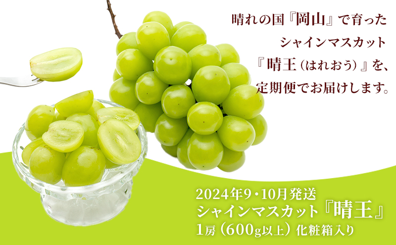 ぶどう 2026年 先行予約 晴れの国 岡山の シャイン マスカット 晴王 定期便 2回（各1房600g以上） 葡萄  岡山県産 国産 フルーツ 果物 ギフト 