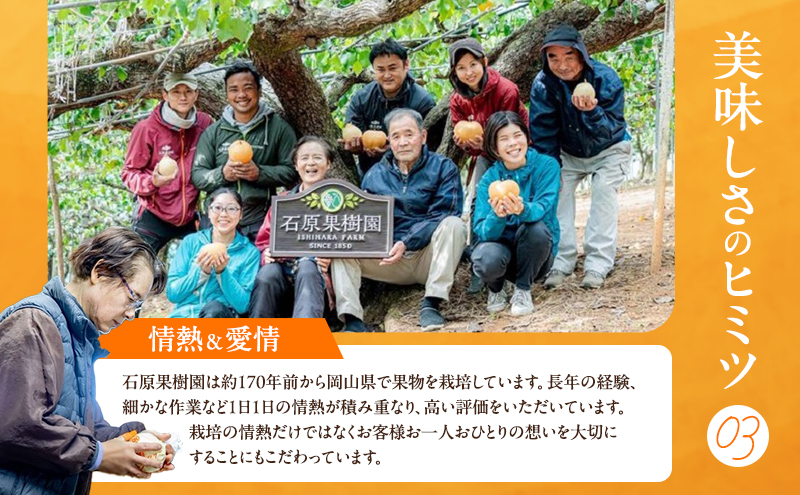 梨 2026年 先行予約 あたご梨・鴨梨（ヤーリー）詰合せ 合計約4kg あたご2～3玉 鴨梨3～7玉 贈答箱【11月下旬～12月中旬頃発送】 ナシ なし 岡山県産 国産 フルーツ 果物 ギフト 石原果樹園