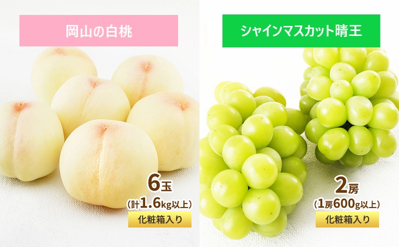 フルーツ 定期便 2026年 先行予約 フルーツ王国 岡山 ベストセレクト 2回コース 桃 もも 葡萄 ぶどう マスカット 岡山県産 国産 果物 セット ギフト 柔らかい 甘い 酸味 高級 香り 風味 
