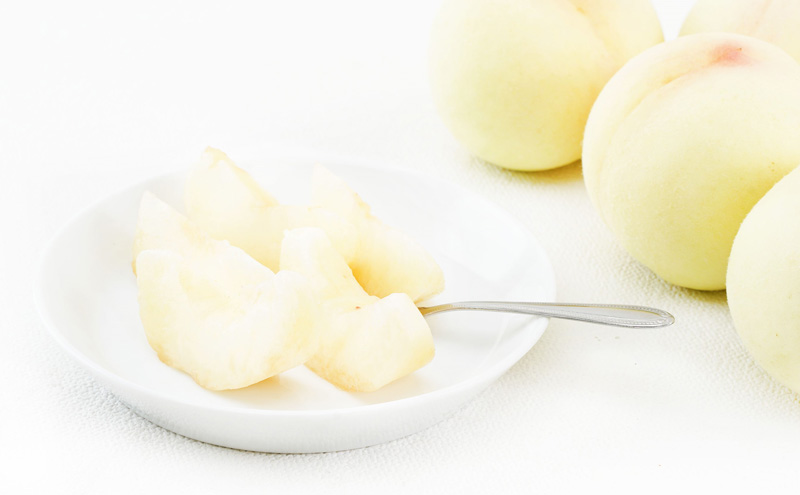 ãã«ãŒã å®æäŸ¿ 2026幎 å
è¡äºçŽ ãã«ãŒãçåœ å²¡å±± ãã¹ãã»ã¬ã¯ã 3åã³ãŒã¹ æ¡ ãã è¡è ã¶ã©ã 梚 ãªã 岡山çç£ åœç£ æç© ã»ãã ã®ãã æããã ãã¹ã«ãã çã é
žå³ é«çŽ éŠã 颚å³