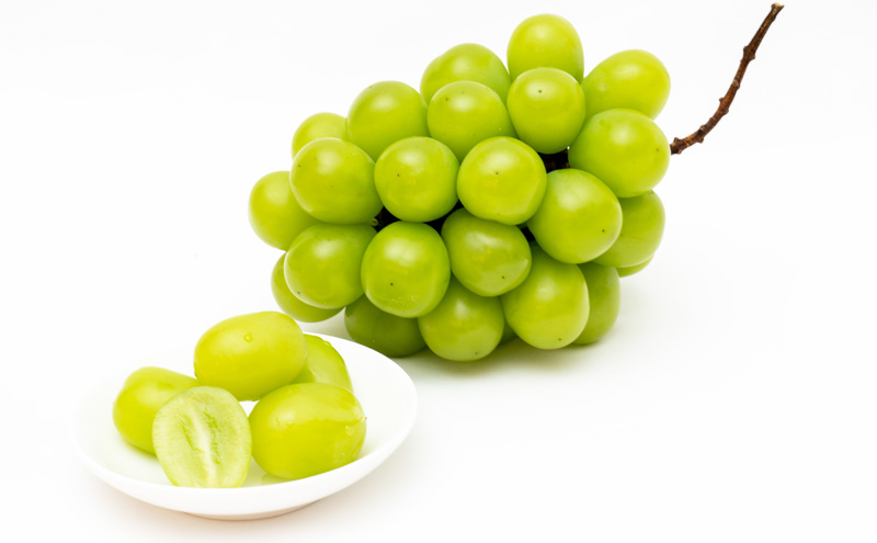 ãã«ãŒã å®æäŸ¿ 2026幎 å
è¡äºçŽ ãã«ãŒãçåœ å²¡å±± ãã¹ãã»ã¬ã¯ã 3åã³ãŒã¹ æ¡ ãã è¡è ã¶ã©ã 梚 ãªã 岡山çç£ åœç£ æç© ã»ãã ã®ãã æããã ãã¹ã«ãã çã é
žå³ é«çŽ éŠã 颚å³