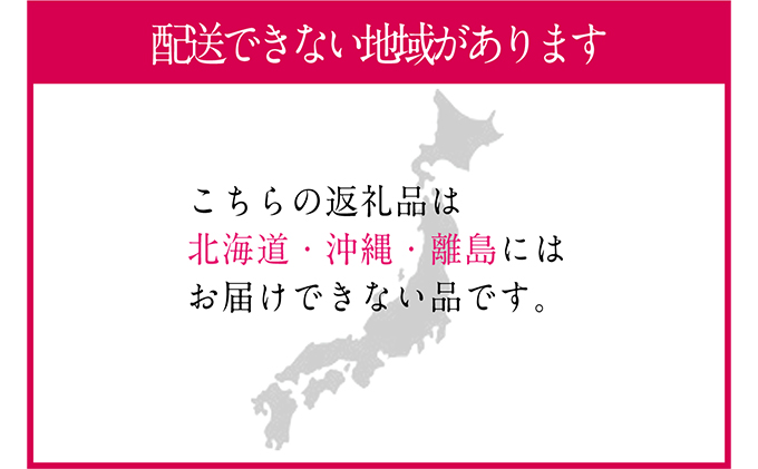 ぶどう 2026年 先行予約 シャイン マスカット 晴王 2房（合計約1.2kg） ブドウ 葡萄  岡山県産 国産 フルーツ 果物 ギフト デザート 食後 酸味が少ない 産地直送 