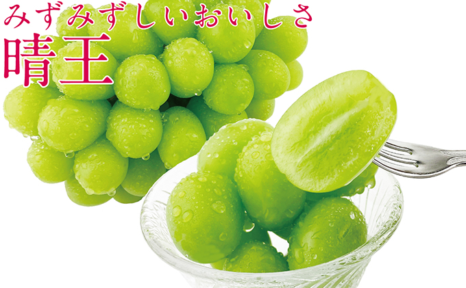 ぶどう 2026年 先行予約 シャイン マスカット 晴王 1房 約700g ブドウ 葡萄  岡山県産 国産 フルーツ 果物 ギフト デザート 食後 酸味が少ない 産地直送 