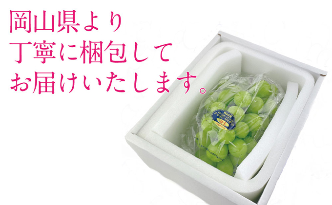 ã¶ã©ã 2026幎 å
è¡äºçŽ ã·ã£ã€ã³ ãã¹ã«ãã æŽç 1æ¿ çŽ650g ãã㊠è¡è 岡山çç£ åœç£ ãã«ãŒã æç© ã®ãã ãã¶ãŒã é£åŸ é
žå³ãå°ãªã ç£å°çŽé