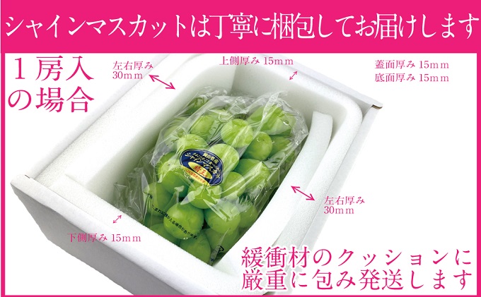 ã¶ã©ã 2026幎 å
è¡äºçŽ 9æã»10æçºé ã·ã£ã€ã³ ãã¹ã«ãã æŽç 1æ¿ çŽ700g ãã㊠è¡è 岡山çç£ åœç£ ãã«ãŒã æç© ã®ãã ãã¶ãŒã é£åŸ é
žå³ãå°ãªã ç£å°çŽé