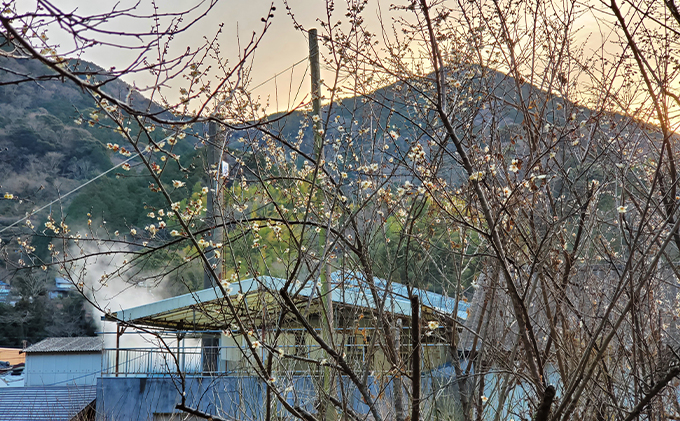 純米吟醸 紫の英君 720ml×1本 お酒 アルコール 日本酒 純米吟醸酒 家飲み 宅飲み 晩酌 フルーティー 品格ある味わい 山田錦 