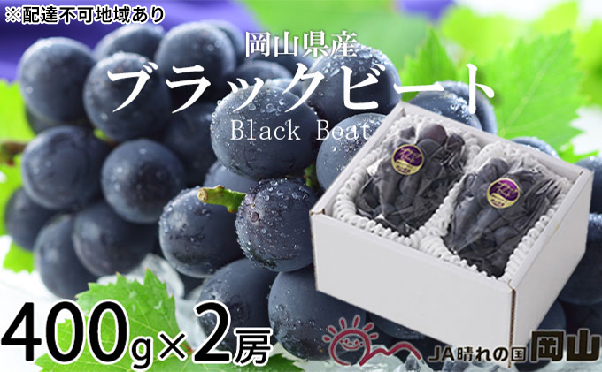 ぶどう 2026年 先行予約 ブラックビート 約400g×2房 ブドウ 葡萄  岡山県産 国産 フルーツ 果物 ギフト 岡山のぶどう 岡山の果物 デザート 食後 種無し 大粒 甘味 酸味 バランス
