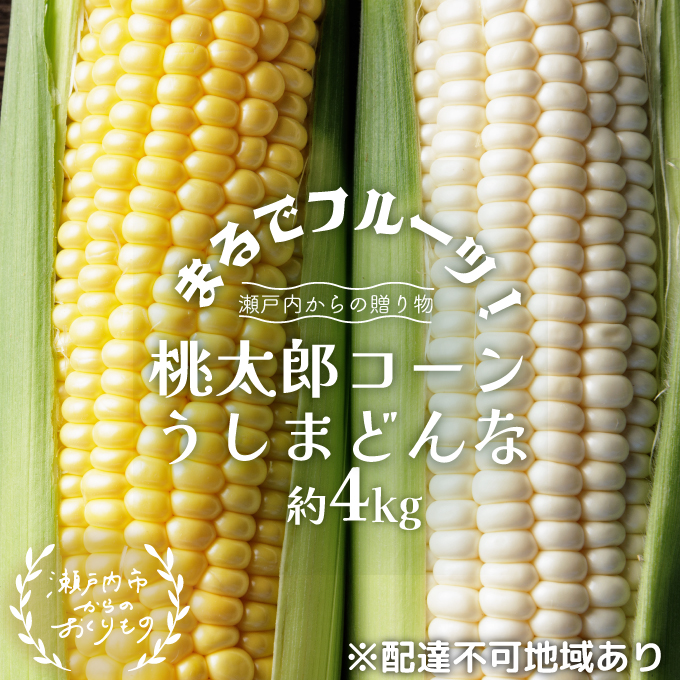 ［2026年先行予約］牛窓産とうもろこし まるでフルーツ！生で甘い、茹でて美味い！「桃太郎コーン」と「うしまどんな」のセット 約4kg 8～12本入り 産地直送 食べ比べ