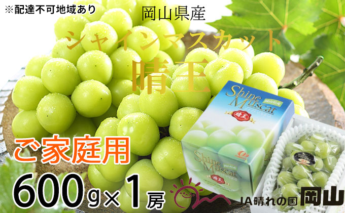ぶどう 2026年 先行予約 ご家庭用 シャイン マスカット 晴王 約600g×1房 ブドウ 葡萄  岡山県産 国産 フルーツ 果物 岡山のぶどう 旬のフルーツ 旬の果物 大粒 種無し