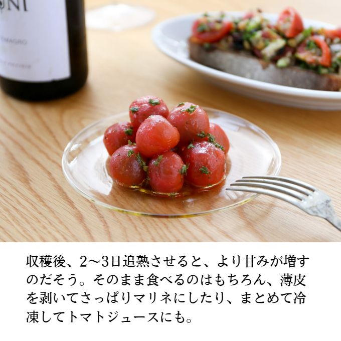 æ¯æ¥é£ã¹ããç³é»ããã¡ã® ããããã ãã£ã·ã 3kg 岡山ç ç¬æžå
åžç£ ç³é»èŸ²åãé
éäžå¯ïŒé¢å³¶ã éè ç·é»è²éè ãµã©ã ä»ãåãã ææ©è¥æ