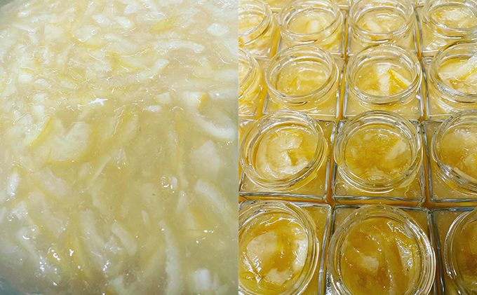 FRUITS JEWELRY 岡山 ã¬ã¢ã³ ããŒãã¬ãŒã 120gÃ3å ã»ãã ïŒ ç¬æžå
åž ççªç£ ã¬ã¢ã³äœ¿çšïŒ ãžã£ã ç¡æ·»å ç®ããš ãã¿ãã³ ãã«ãŒããžã£ã ãã³ å¡ã ã€ãã ãšãŒã°ã«ã é£å æé£ ãããã