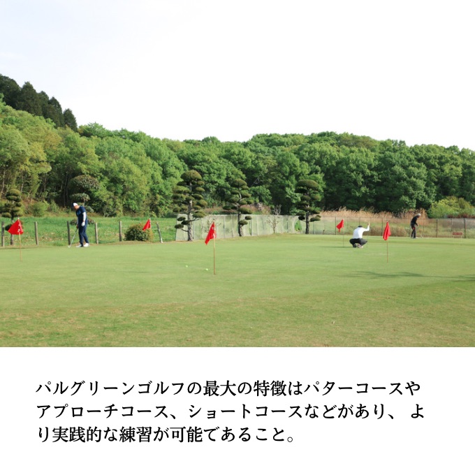 パルグリーンゴルフクラブ　プリペイドカード 　9，000円相当分 チケット 