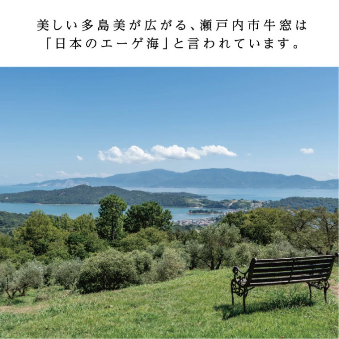【7月上旬発送！】御中元 有機栽培 エキストラバージン オリーブオイル シングル 2本セット 調味料 オリーブ油 植物オイル フルーティ ギフト