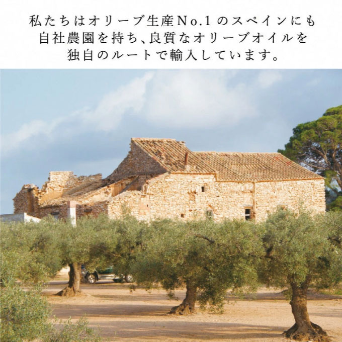【7月上旬発送！】御中元 有機栽培 エキストラバージン オリーブオイル シングル 2本セット 調味料 オリーブ油 植物オイル フルーティ ギフト
