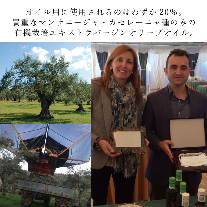 【7月上旬発送！】御中元 有機栽培 エキストラバージン オリーブオイル シングル 2本セット 調味料 オリーブ油 植物オイル フルーティ ギフト