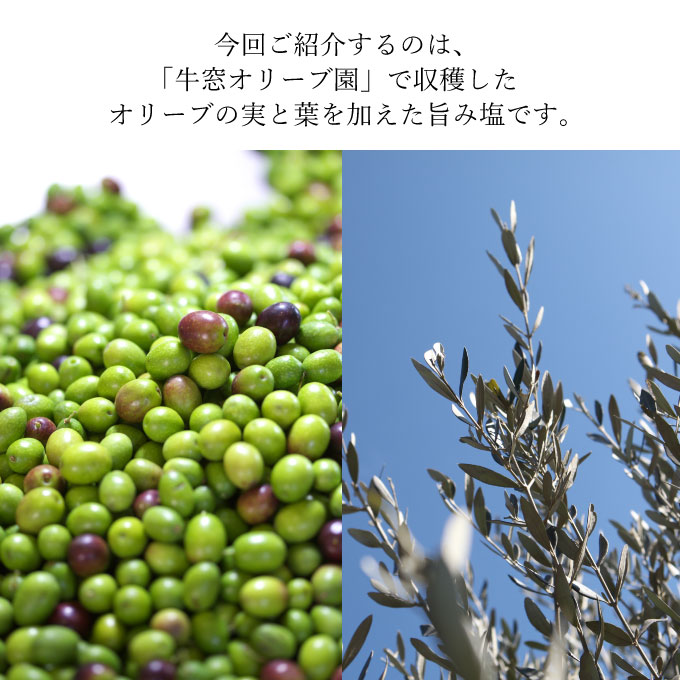 èµ€å±æ ¹ãªãªãŒãã®å®ãšèå
¥ãæšã¿å¡©2æ¬ã»ãã èª¿å³æ é£å¡© ç¬æžå
ç£å¡© çœãããªéŠã å°ãã®èŠå³ ãªãªãŒãããªãã§ããŒã« 11.1ïŒ
æžå¡© 倩ã·ã ããã®ãã