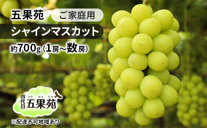 ぶどう 2026年 先行予約 ご家庭用 シャインマスカット 約700g（1房～数房） ぶどう フルーツ 果物 岡山 五果苑 岡山のぶどう 岡山の果物 岡山のフルーツ 産地直送