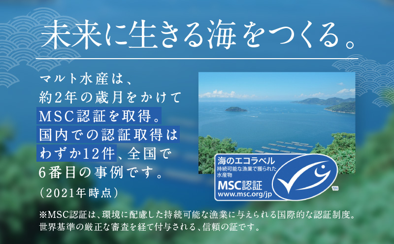 牡蠣 冷凍 蒸し牡蠣 内閣総理大臣賞 受賞 大粒 500g MSC認証 マルト水産 岡山県邑久町虫明産 かき カキ 貝 海鮮 魚介類 魚介 