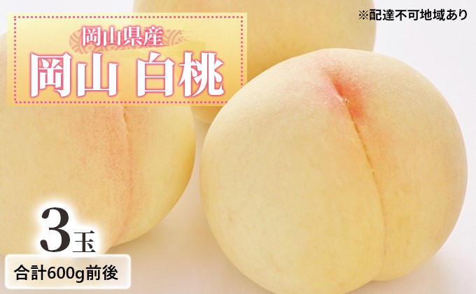 桃 2026年 先行予約 白桃 3玉入り 合計600g前後 岡山県産もも モモ 岡山県産 国産 フルーツ 果物 ギフト 