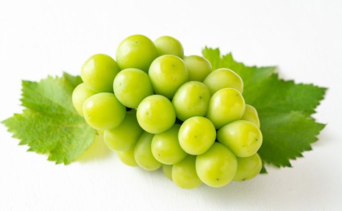 縺カ縺ゥ縺 2025蟷エ 蜈郁。御コ育エ 繧キ繝」繧、繝ウ繝槭せ繧ォ繝繝 譎エ邇 4ス5謌ソ 蜷郁ィ2.0kg蜑榊セ 繝槭せ繧ォ繝繝 繝悶ラ繧ヲ 闡。關 蟯。螻ア逵檎肇 蝗ス逕」 繝輔Ν繝シ繝 譫懃黄 繧ョ繝輔ヨ 譫懃黄鬘