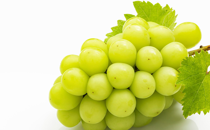 ã¶ã©ã 2026幎 å
è¡äºçŽ ã·ã£ã€ã³ ãã¹ã«ãã æŽç 600g以äžÃ1æ¿ çš®ç¡ã ãã㊠è¡è 岡山çç£ åœç£ ãã«ãŒã æç© ã®ãã ãã¶ãŒã æå® çŸãã å€§ç² é«ç³åºŠ ç®ããš ããªã 匟å 飿 é£ã¹ããã 人æ°