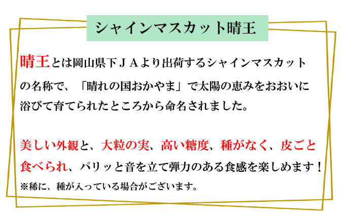 ぶどう 2026年 先行予約 シャイン マスカット 晴王 約500g×2房 種無し ブドウ 葡萄  岡山県産 国産 フルーツ 果物 ギフト デザート 果実 美しい 大粒 高糖度 皮ごと パリッ 弾力 食感 食べやすい 人気 