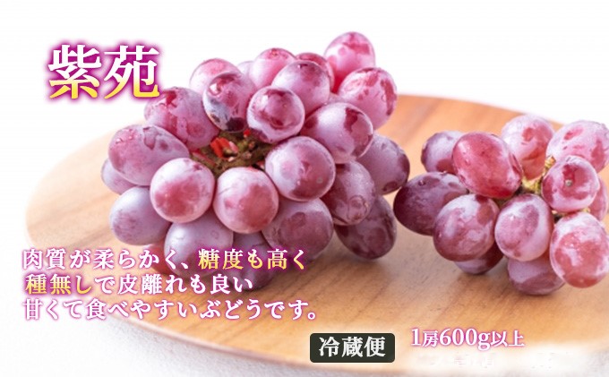 ãã«ãŒã 2026幎 å
è¡äºçŽ æŽãã®åœ 岡山 ã® ãã«ãŒã å®æäŸ¿ 6åã³ãŒã¹ æ¡ ã¶ã©ã 梚 岡山çç£ åœç£ ãã«ãŒã æç© ã®ãã