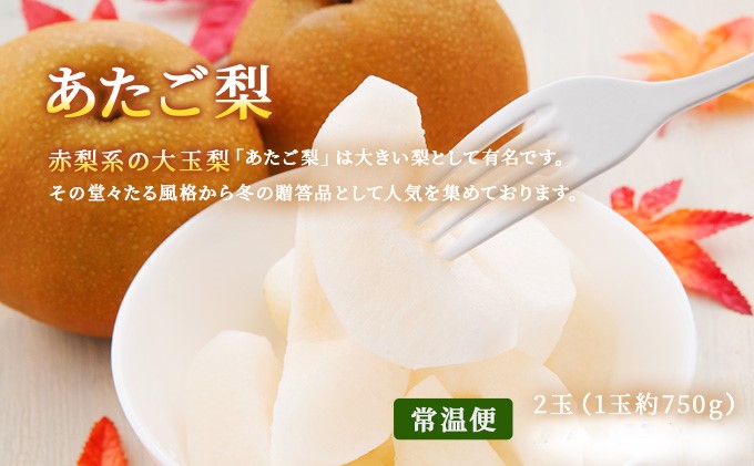 ãã«ãŒã 2026幎 å
è¡äºçŽ æŽãã®åœ 岡山 ã® ãã«ãŒã å®æäŸ¿ 6åã³ãŒã¹ æ¡ ã¶ã©ã 梚 岡山çç£ åœç£ ãã«ãŒã æç© ã®ãã