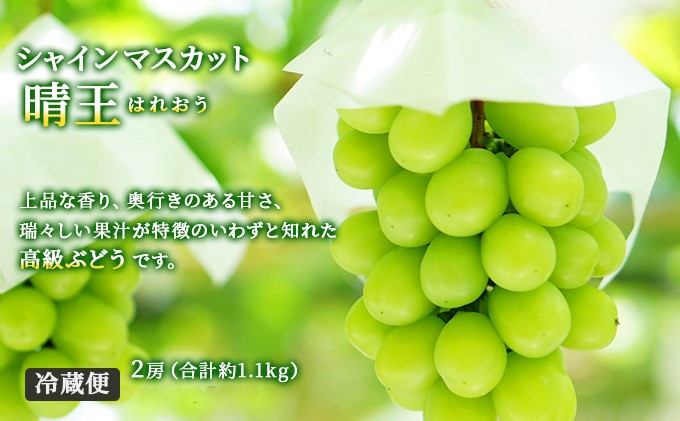 ãã«ãŒã 2026幎 å
è¡äºçŽ æŽãã®åœ 岡山 ã® ãã«ãŒã å®æäŸ¿ 6åã³ãŒã¹ æ¡ ã¶ã©ã 梚 岡山çç£ åœç£ ãã«ãŒã æç© ã®ãã