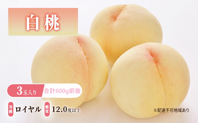 桃 2026年 先行予約 白桃 3玉入り 等級: ロイヤル 糖度12.0度以上 合計600g前後 もも モモ 岡山県産 国産 フルーツ 果物 ギフト デザート 果実 白果 皮が薄い 柔らかい芳醇 香り 伝統 高糖度 贈り物