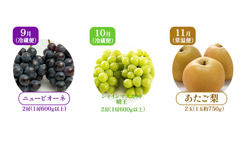 縺カ縺ゥ縺 譴ィ 螳壽悄萓ソ 2026蟷エ 蜈郁。御コ育エ 繝輔Ν繝シ繝邇句嵜 蟯。螻ア繧貞ェ閭ス 螳壽悄萓ソ 3蝗槭さ繝シ繧ケ 闡。關 縺カ縺ゥ縺 譴ィ 縺ェ縺 蟯。螻ア逵檎肇 蝗ス逕」 譫懃黄 繧サ繝繝 繧ョ繝輔ヨ