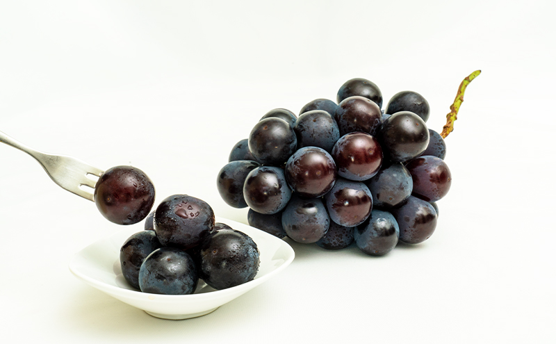 縺カ縺ゥ縺 譴ィ 螳壽悄萓ソ 2026蟷エ 蜈郁。御コ育エ 繝輔Ν繝シ繝邇句嵜 蟯。螻ア繧貞ェ閭ス 螳壽悄萓ソ 3蝗槭さ繝シ繧ケ 闡。關 縺カ縺ゥ縺 譴ィ 縺ェ縺 蟯。螻ア逵檎肇 蝗ス逕」 譫懃黄 繧サ繝繝 繧ョ繝輔ヨ