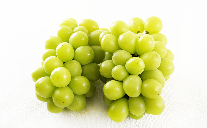 縺カ縺ゥ縺 譴ィ 螳壽悄萓ソ 2026蟷エ 蜈郁。御コ育エ 繝輔Ν繝シ繝邇句嵜 蟯。螻ア繧貞ェ閭ス 螳壽悄萓ソ 3蝗槭さ繝シ繧ケ 闡。關 縺カ縺ゥ縺 譴ィ 縺ェ縺 蟯。螻ア逵檎肇 蝗ス逕」 譫懃黄 繧サ繝繝 繧ョ繝輔ヨ